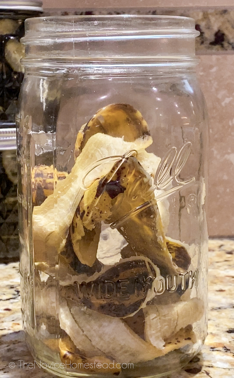 banana peels in a mason jar