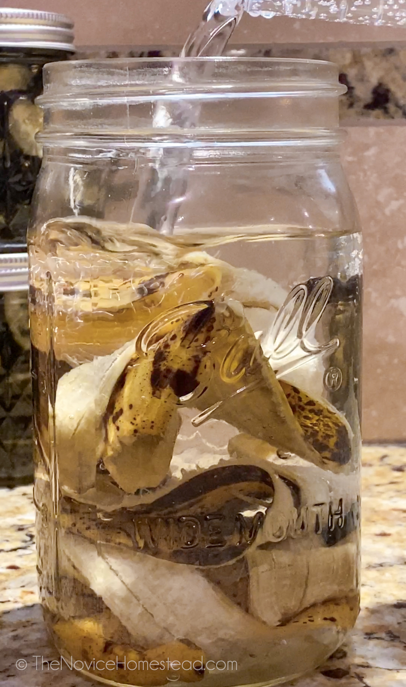 pouring water on top of banana peels in a jar