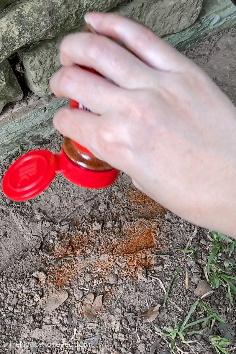 sprinkling chili powder on dirt where dog dug a hole