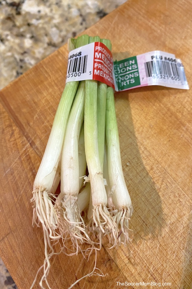 bunch of green onion bulbs with roots