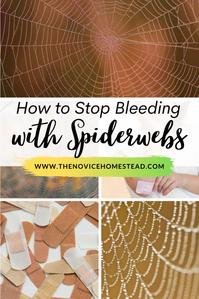 image collage with spiderwebs; text overlay "How to Stop Bleeding with Spiderwebs"