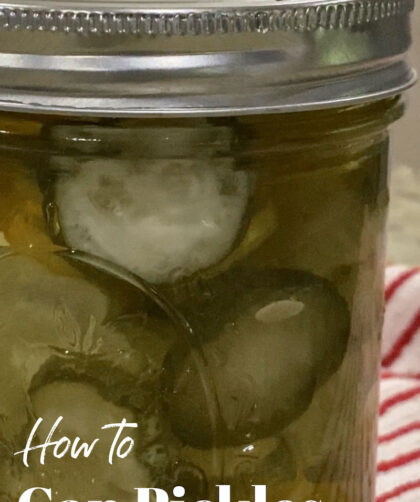 close up of a jar of homemade pickles; text overlay "How to Can Pickles in a Water Bath"
