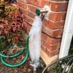 outdoor faucet and hose with large ice buildup