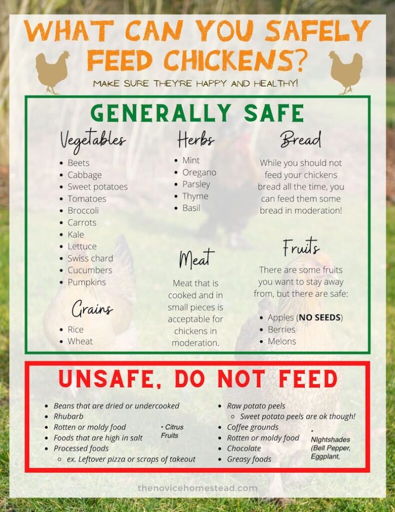 Printable List Of Foods Chickens Can Eat - Printable Templates Free