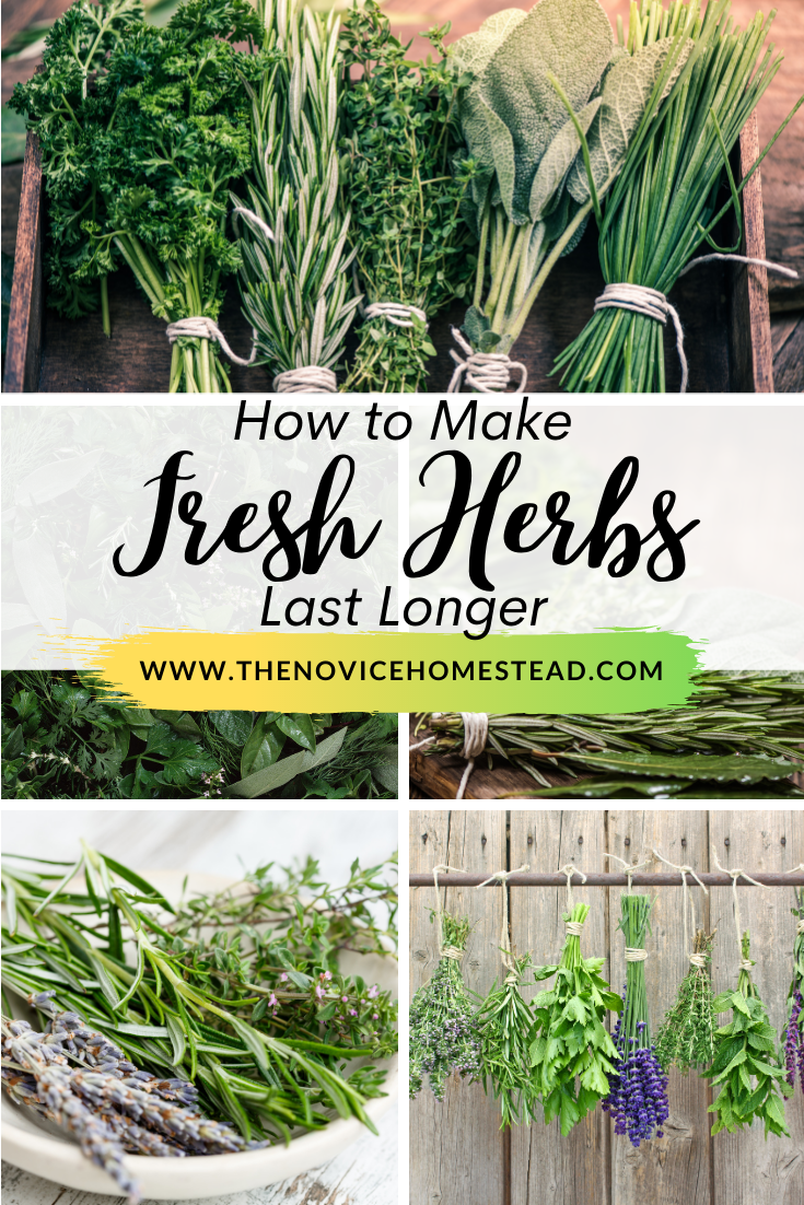 collage of fresh cut herbs; text overlay "How to make fresh herbs last longer"