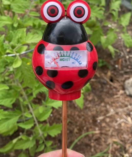 soil moisture meter to tell when to water the garden