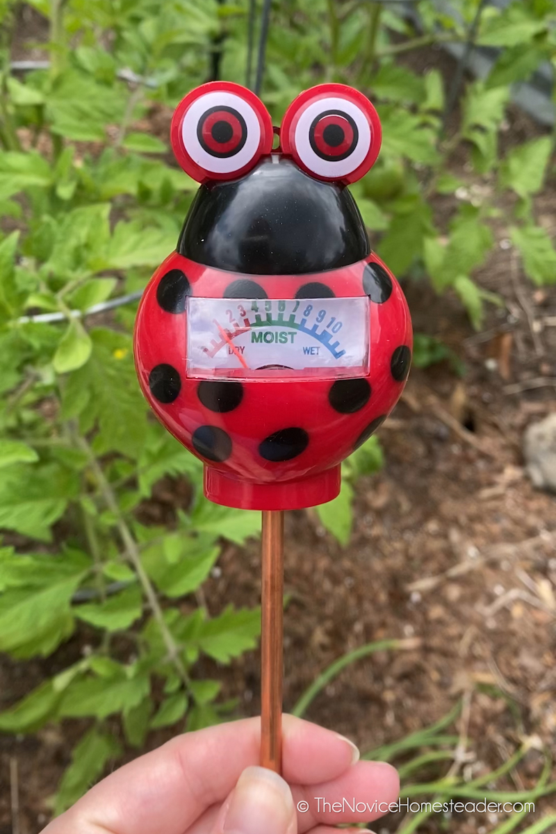 soil moisture meter to tell if the garden needs watered