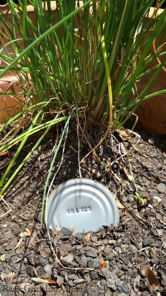 tin can lids with plant names stamped on top