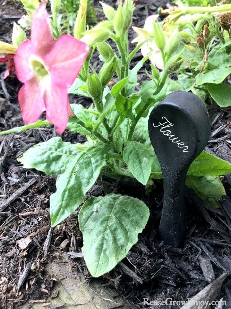 cement spoon garden marker