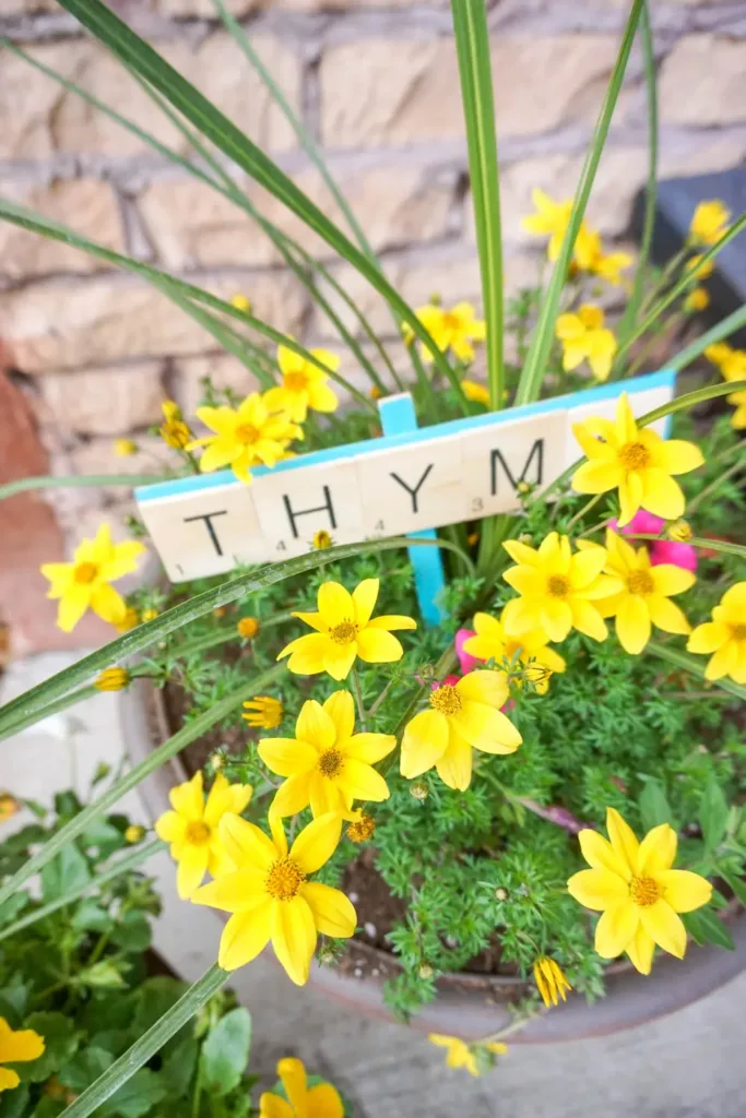 herb garden markers made with Scrabble tiles