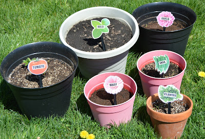 small garden markers for potted plants