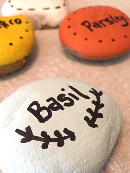 rocks painted with garden herb names