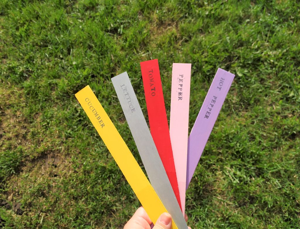 popsicle sticks with plant names stamped on them