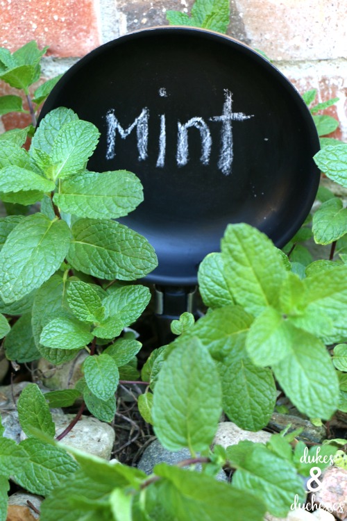 frying pan converted into a garden marker