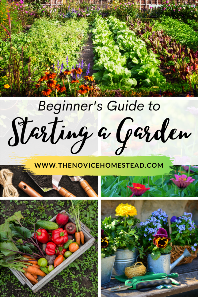 collage of images of home gardens; text overlay "Beginner's Guide to Starting a Garden"