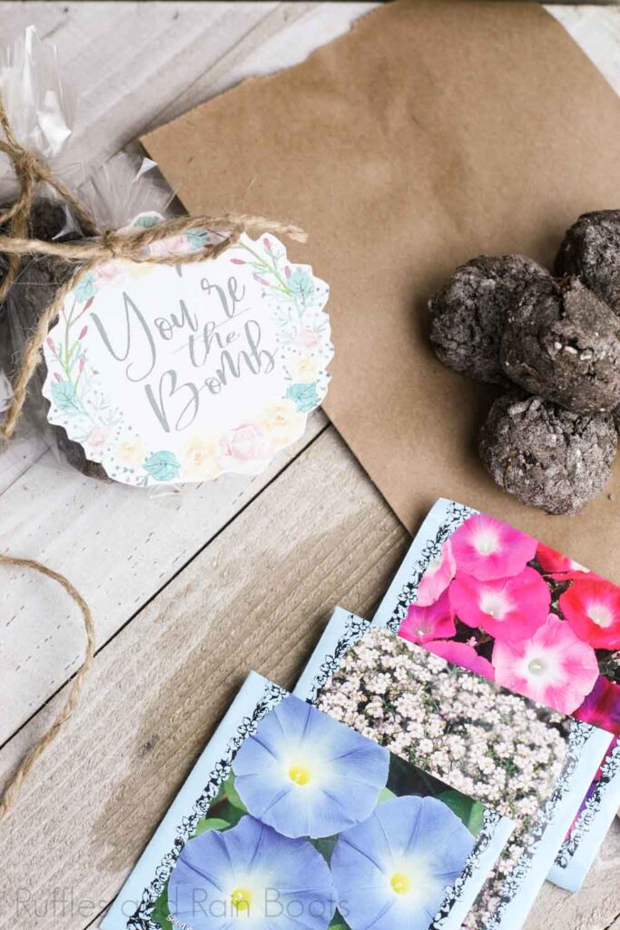 DIY seed bombs and seed packets