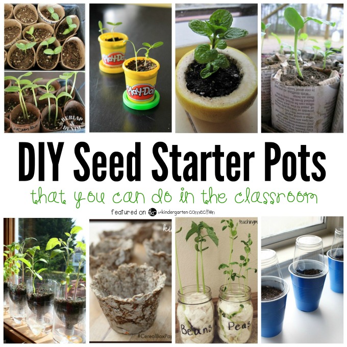 collage image of DIY seed starter pots