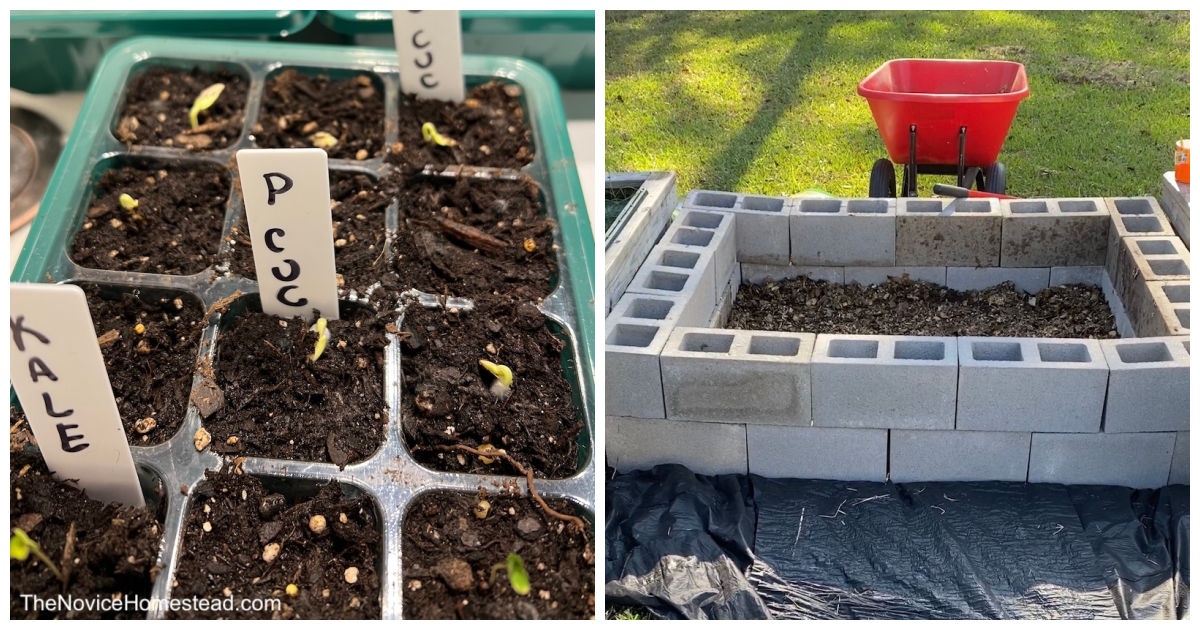 How to Start a Garden in 6 Steps - The Novice Homestead