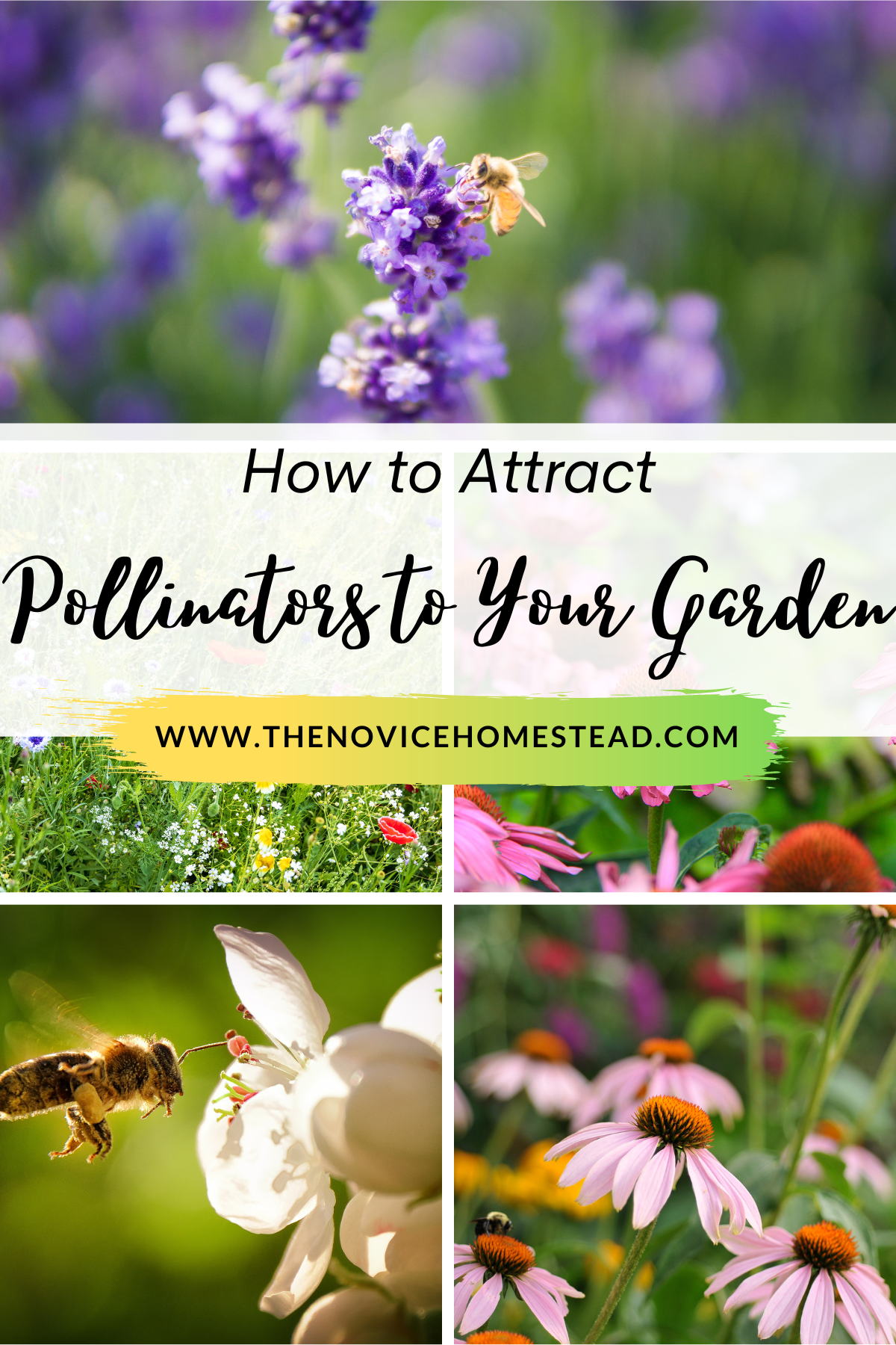 collage image of bees on flowers; text overlay "How to Attract Pollinators to Your Garden"