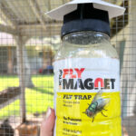 holding up a yellow fly trap with label that says "Fly Magnet"