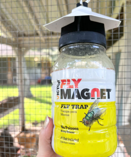 holding up a yellow fly trap with label that says "Fly Magnet"