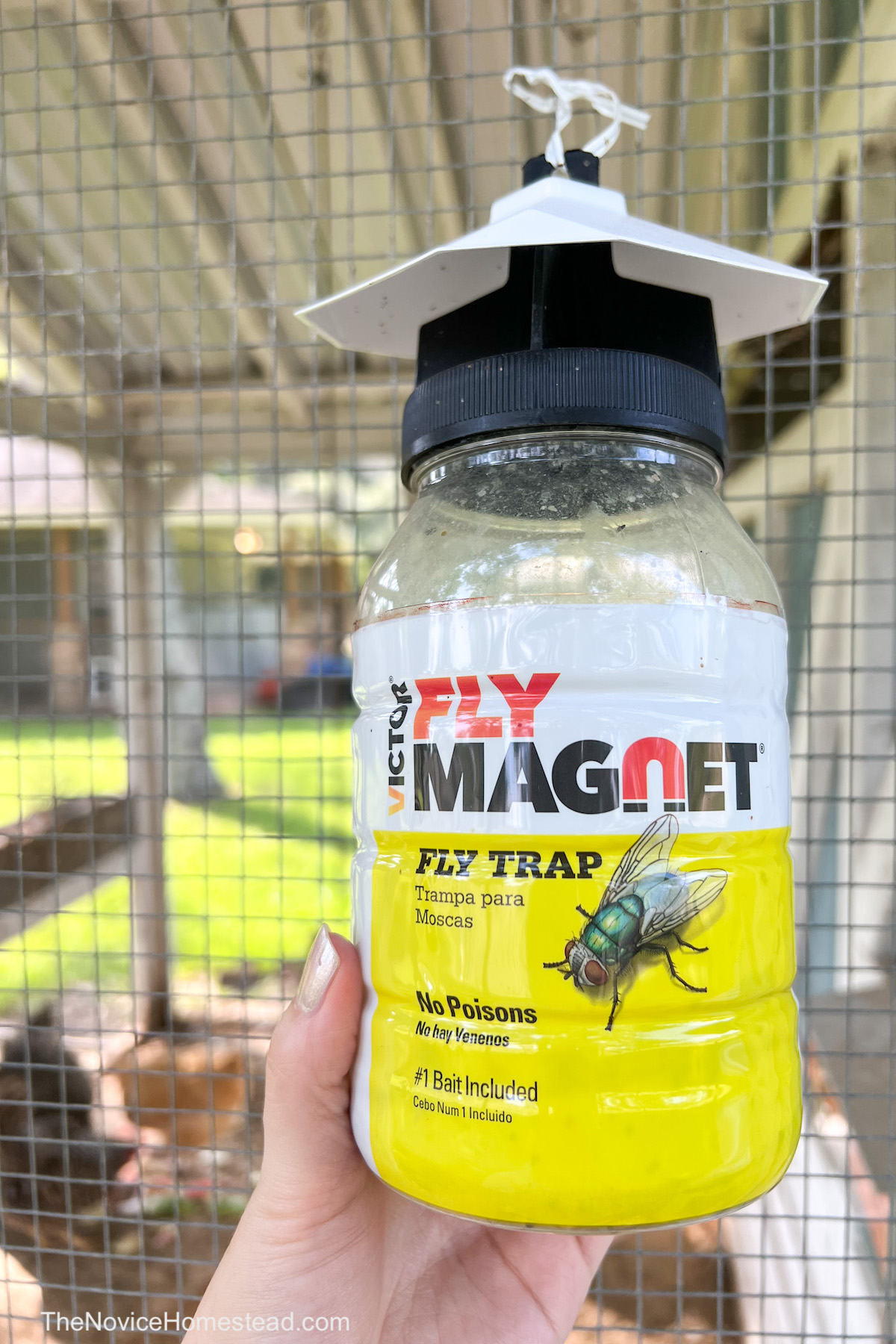 bright yellow fly trap with label: "Fly Magnet"