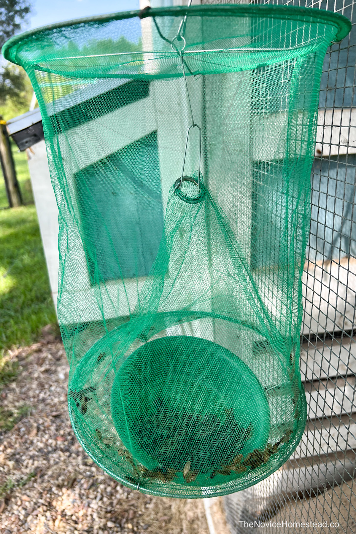 green mesh fly trap